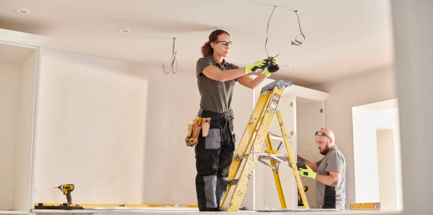 Best Licensed Electrician  in Waverly, MI