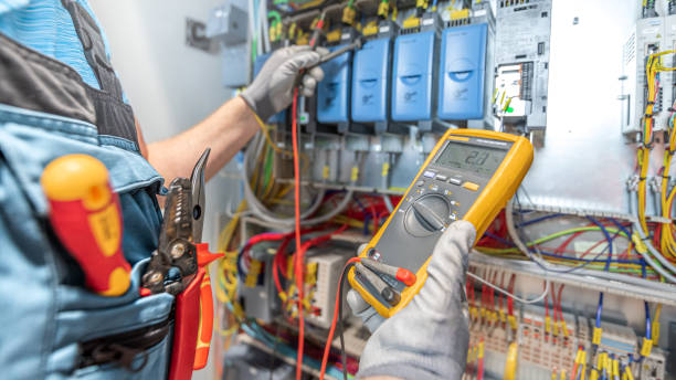 Best Electric Panel Repair  in Waverly, MI