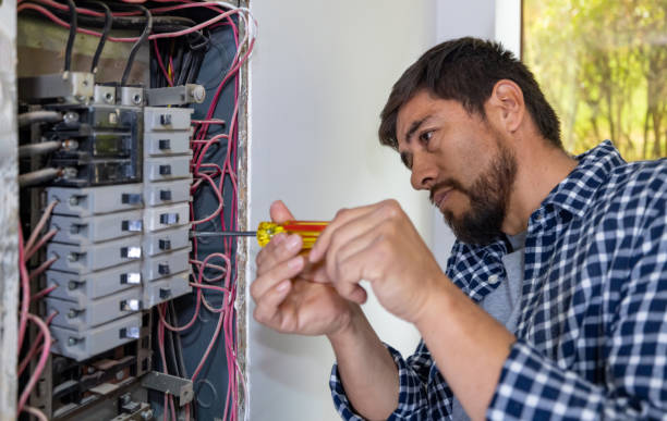 Best Ceiling Fan Installation Electrician  in Waverly, MI